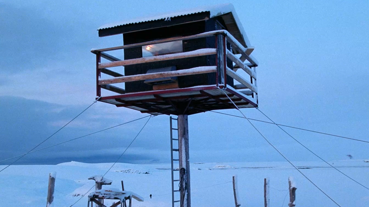 Кадр из фильма «Гнездо» (Hreiður, 2022, реж. Хлинюр Палмасон)