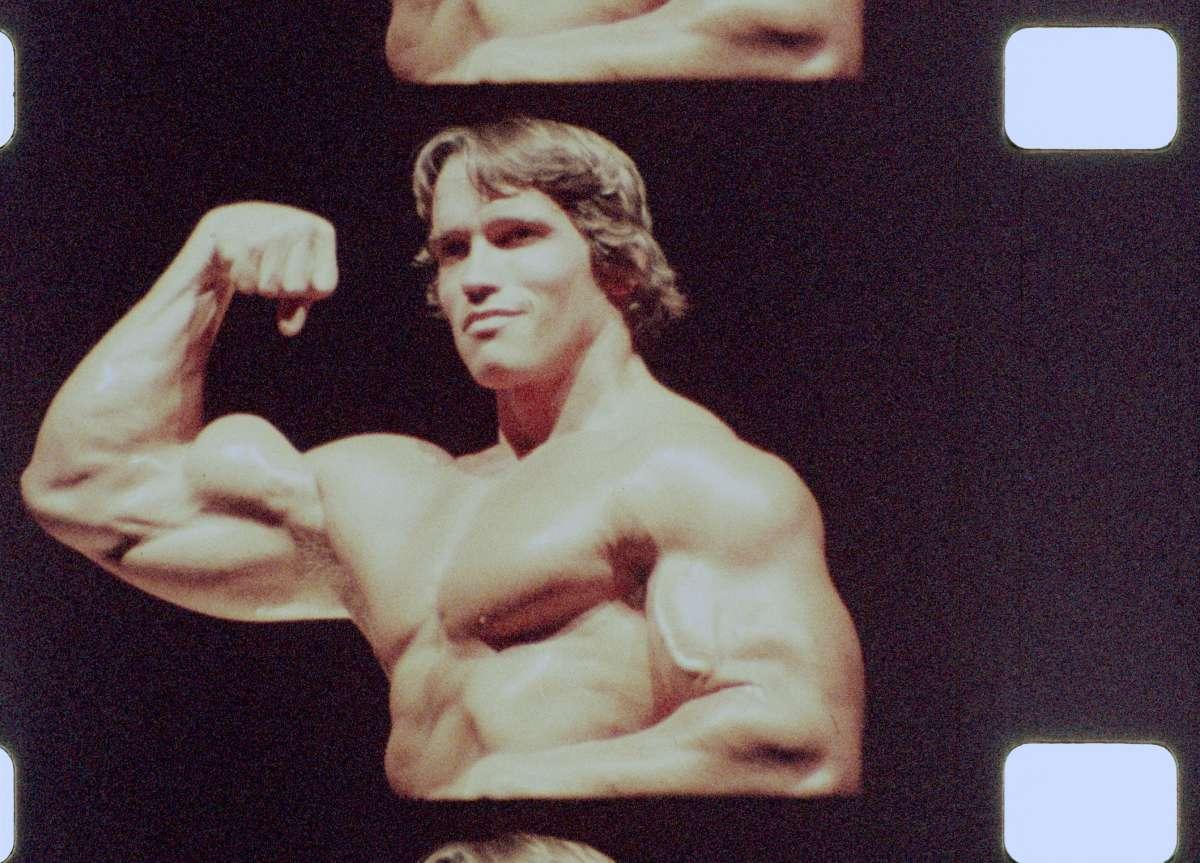Arnold Schwarzenegger – The Art of Bodybuilding (Babeth M. VanLoo, 2020)